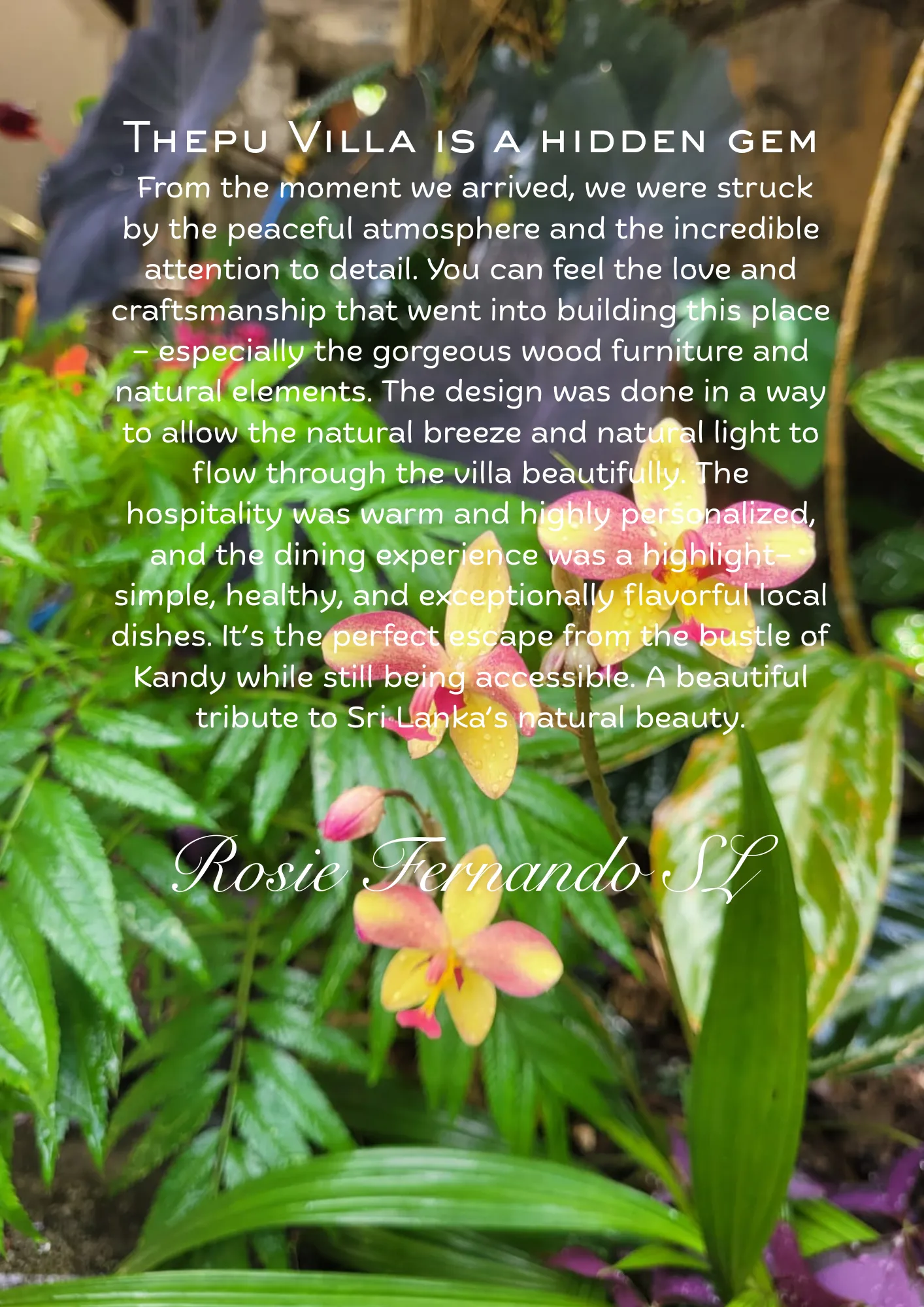 Guest review by Rosie Fernando, Sri Lanka – Thepu Villa is a hidden gem: From the moment we arrived, we were struck by the peaceful atmosphere and the incredible attention to detail. You can feel the love and craftsmanship that went into building this place – especially the gorgeous wood furniture and natural elements. The design was done in a way to allow the natural breeze and natural light to flow through the villa beautifully. The hospitality was warm and highly personalized, and the dining experience was a highlight – simple, healthy, and exceptionally flavorful local dishes. It's the perfect escape from the bustle of Kandy while still being accessible. A beautiful tribute to Sri Lanka's natural beauty.